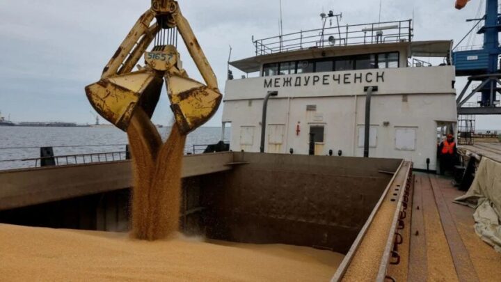 VLI investirá R$ 80 milhões em terminal no Porto do Itaqui e ampliará exportação de grãos