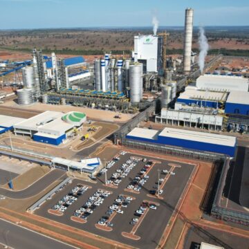 Suzano tem resultado abaixo do esperado e ações caem após balanço