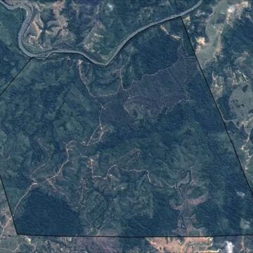 Sul da Bahia gera primeiros créditos de carbono com restauração de Mata Atlântica nativa