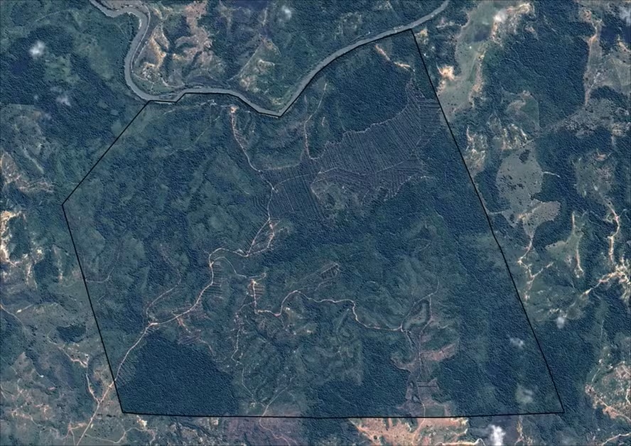 Sul da Bahia gera primeiros créditos de carbono com restauração de Mata Atlântica nativa