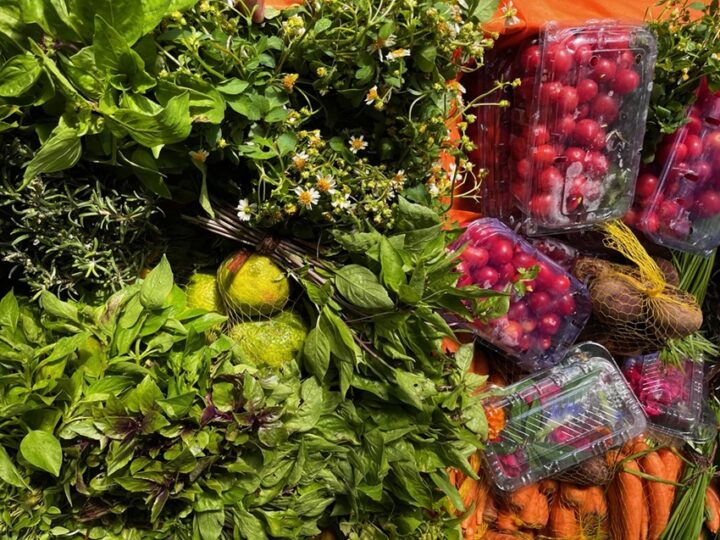 Salvador recebe pela 1ª vez encontro nacional sobre gastronomias brasileiras