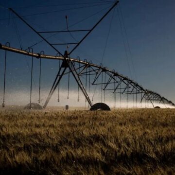 Sete cidades baianas estão entre as mais irrigadas do Brasil; veja quais