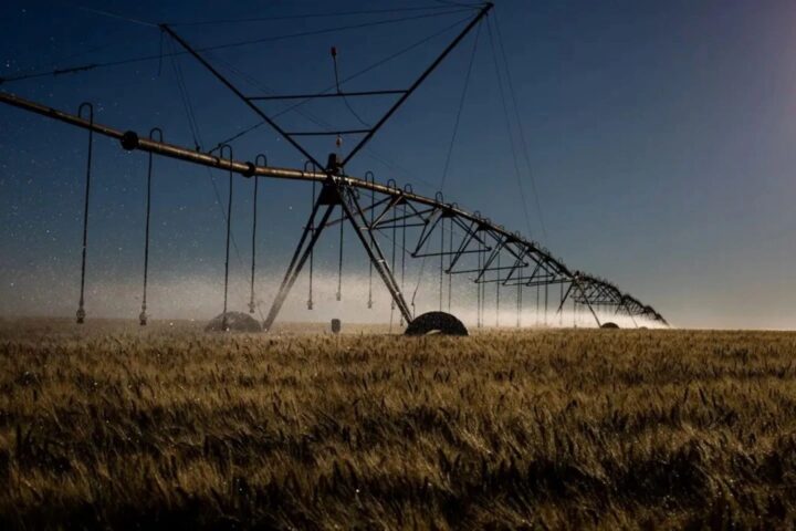 Sete cidades baianas estão entre as mais irrigadas do Brasil; veja quais