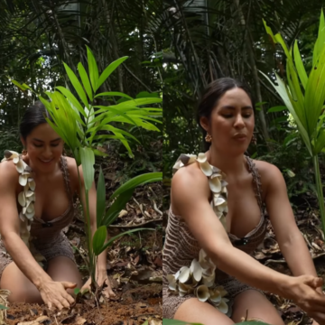 Ex-BBB Isabelle Nogueira e famosos plantam mil árvores na Amazônia