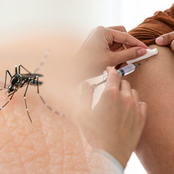 Anvisa autoriza produção de vacina contra chikungunya no Brasil