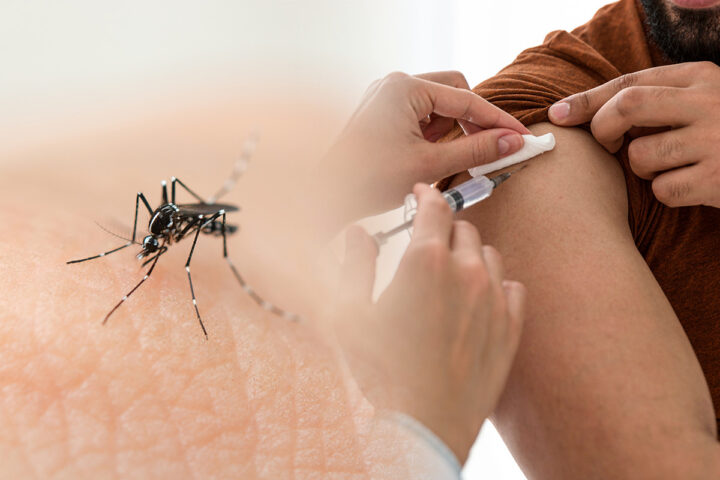 Anvisa autoriza produção de vacina contra chikungunya no Brasil