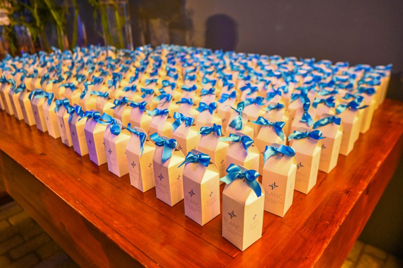 Inauguração do Blanc Hospital 