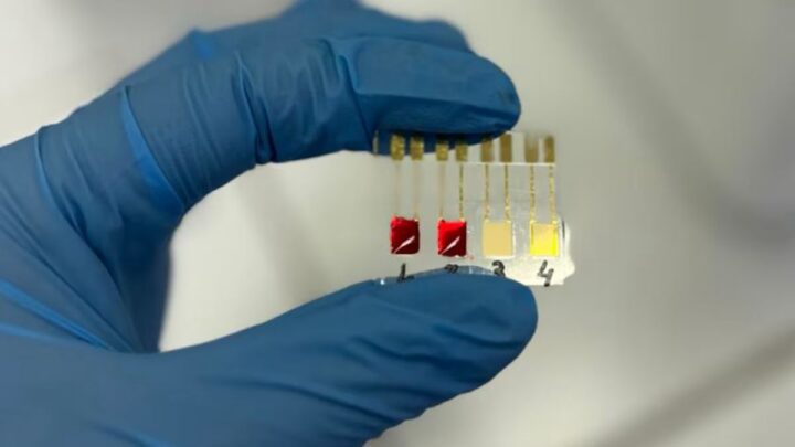 Pesquisadores da USP desenvolvem sensor capaz de detectar câncer de pâncreas em estágio inicial