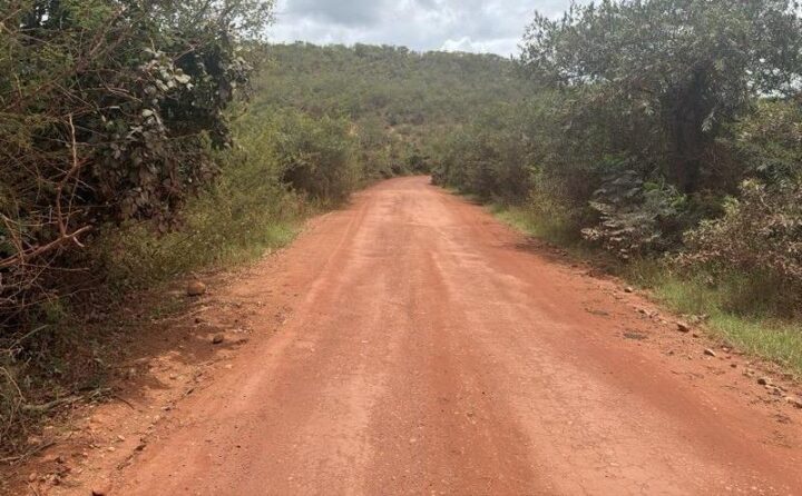 Nova rodovia asfaltada vai reduzir viagem entre Mucugê e Seabra em 57 km e facilitar acesso ao Vale do Pati