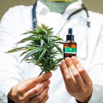 Anvisa libera exportação de cannabis medicinal produzida no Brasil
