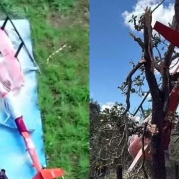 Helicóptero de Henrique e Juliano faz pouso de emergência no Tocantins; pai da dupla pilotava aeronave
