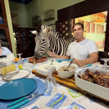 Galã dos anos 90, Victor Fasano almoça ao lado de zebra no Maranhão; entenda