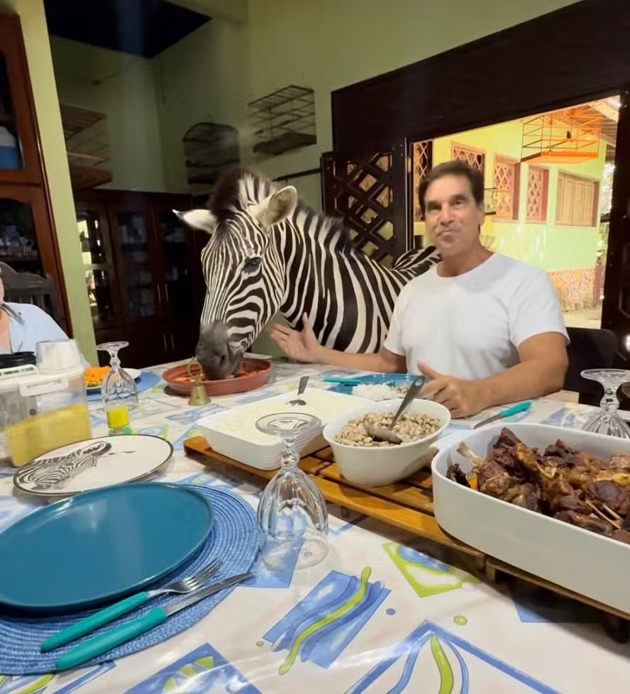 Galã dos anos 90, Victor Fasano almoça ao lado de zebra no Maranhão; entenda