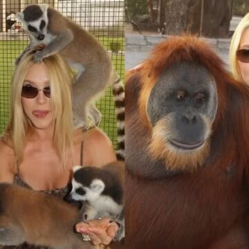 Após término com Vini Jr., Virginia Fonseca posa com animais exóticos em Dubai: ‘Viva e vivendo’