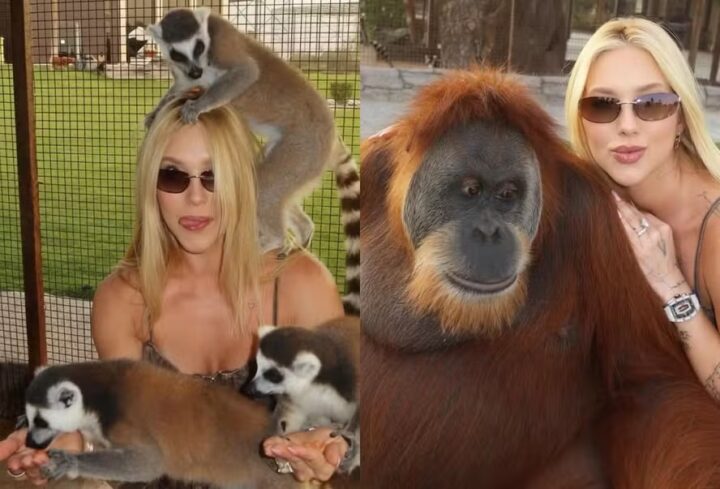 Após término com Vini Jr., Virginia Fonseca posa com animais exóticos em Dubai: ‘Viva e vivendo’