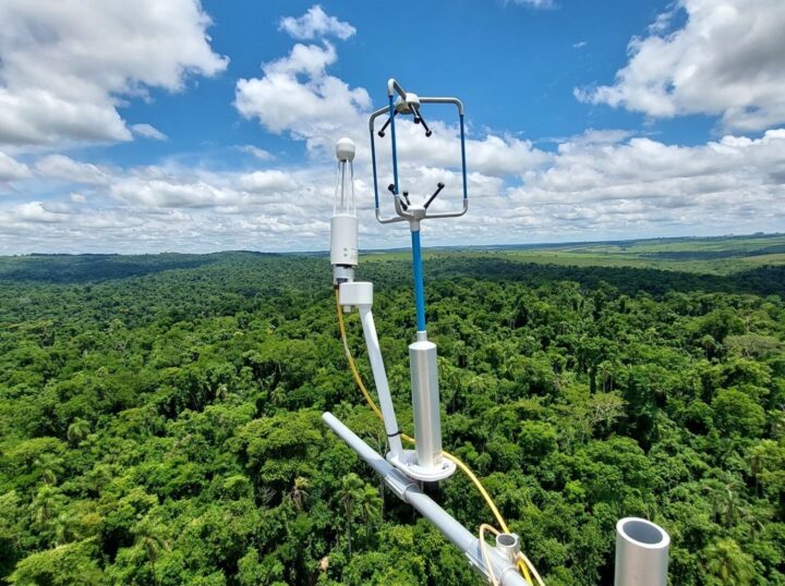 Bracell destaca remoção de CO₂ e amplia monitoramento climático na Bahia