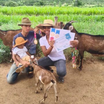 Baiana cria queijaria premiada após ganhar cabra como forma de pagamento