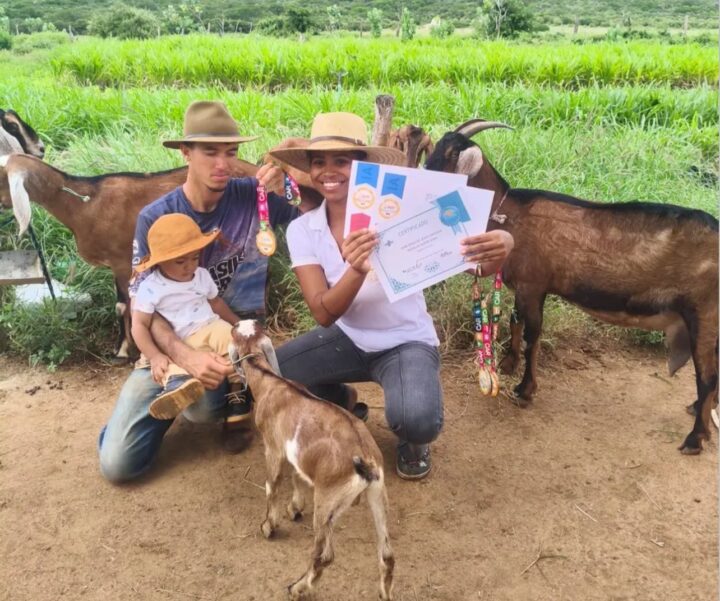 Baiana cria queijaria premiada após ganhar cabra como forma de pagamento