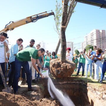 Salvador inicia nova etapa do Corredor Verde com plantio de 112 árvores no Cabula