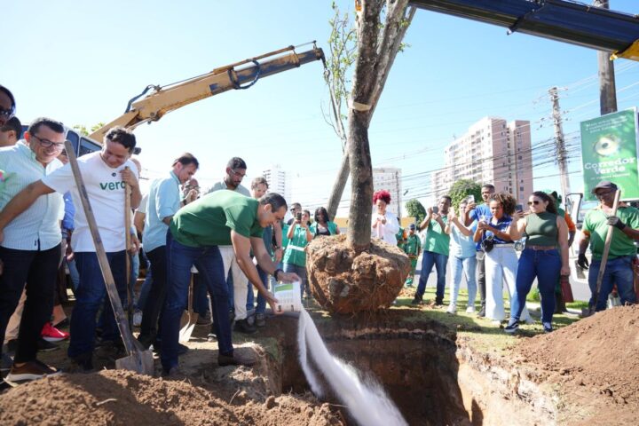 Salvador inicia nova etapa do Corredor Verde com plantio de 112 árvores no Cabula