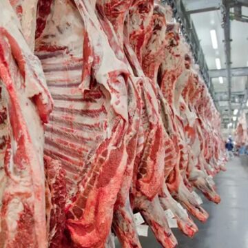 União Europeia veta compra de carne brasileira a partir de setembro