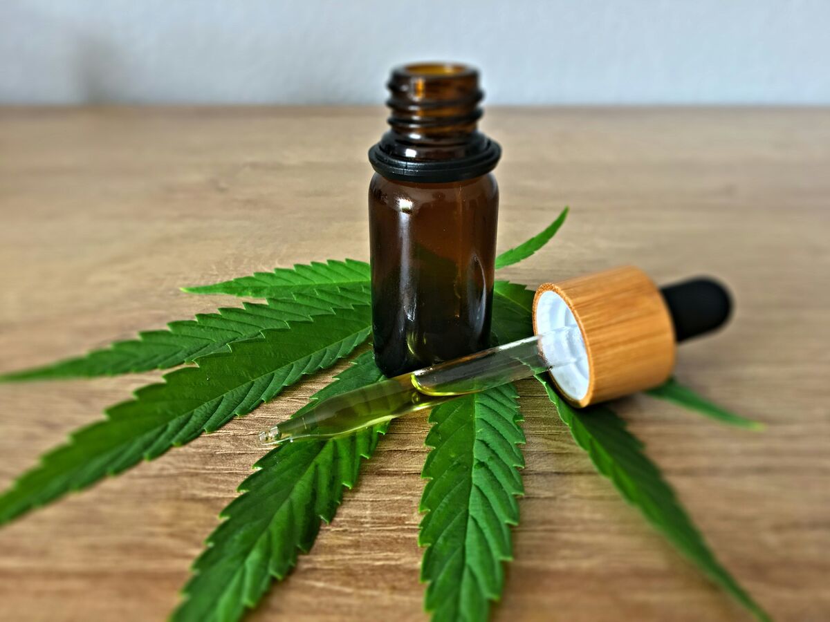 Profissionais de saúde de Salvador vão receber capacitação sobre cannabis medicinal no SUS