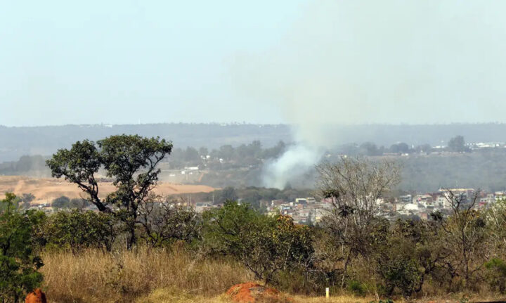 Governo vai investir R$ 19 milhões para arborizar periferia de pequenas cidades; confira