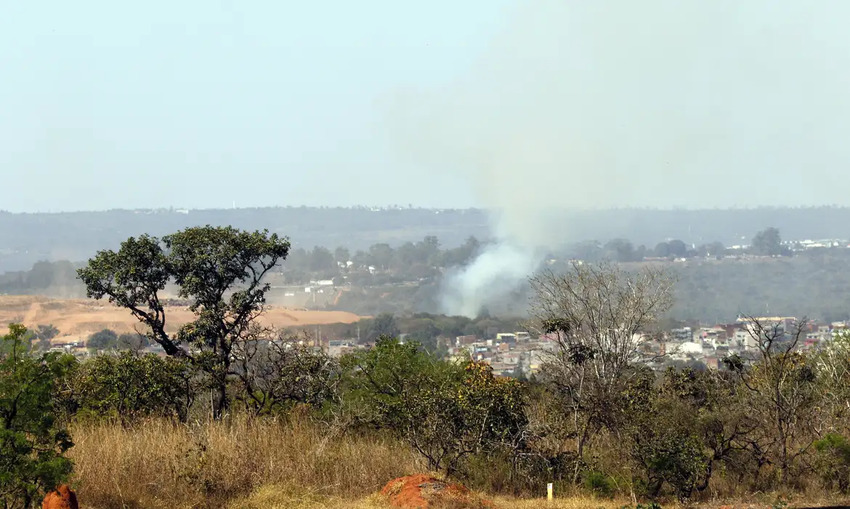 Governo vai investir R$ 19 milhões para arborizar periferia de pequenas cidades; confira