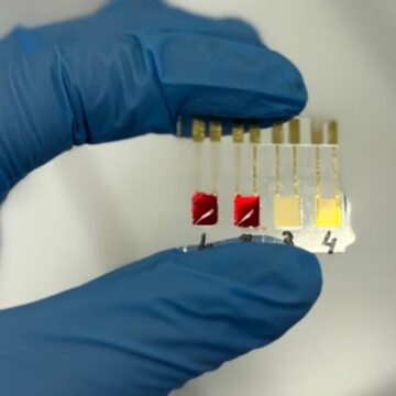 Pesquisadores da USP desenvolvem sensor capaz de detectar câncer de pâncreas em estágio inicial