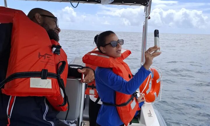 Projeto mapeia fauna marinha no sul da Bahia por meio do DNA ambiental