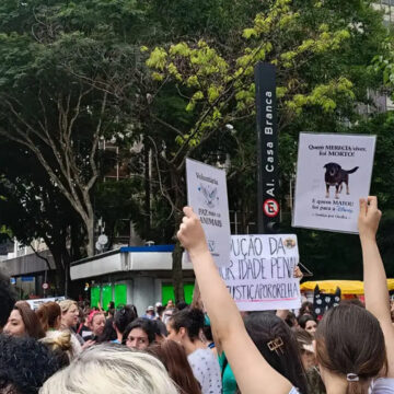 Justiça arquiva caso Cão Orelha a pedido do Ministério Público