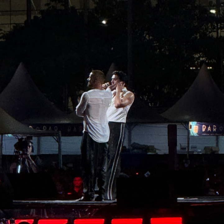 Ricky Martin sobe ao palco com Luan Santana em show repleto de famosos no Rio