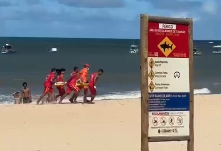 Brasil está entre os países com mais ataques de tubarão registrados no mundo
