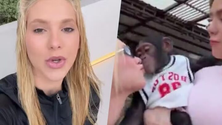 Virginia Fonseca se pronuncia após polêmica envolvendo vídeo em zoológico de Dubai