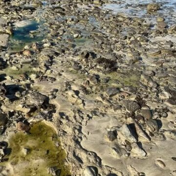 Salvador decreta emergência ambiental após contaminação por metais pesados em praia de Paripe