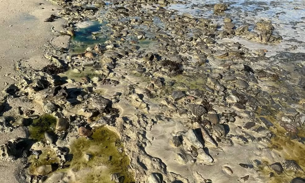 Salvador decreta emergência ambiental após contaminação por metais pesados em praia de Paripe