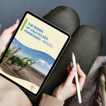 Vale do São Francisco lança e-book em inglês para promover vinhos tropicais no mercado internacional