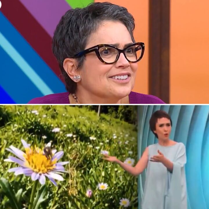 ‘Que louca’: Sandra Annenberg conta como reagiu à imitação de Tatá Werneck em novo programa