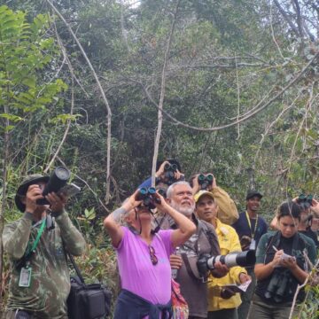 Passarinhada no Monte Pascoal promove imersão na Mata Atlântica e cultura Pataxó no sul da Bahia