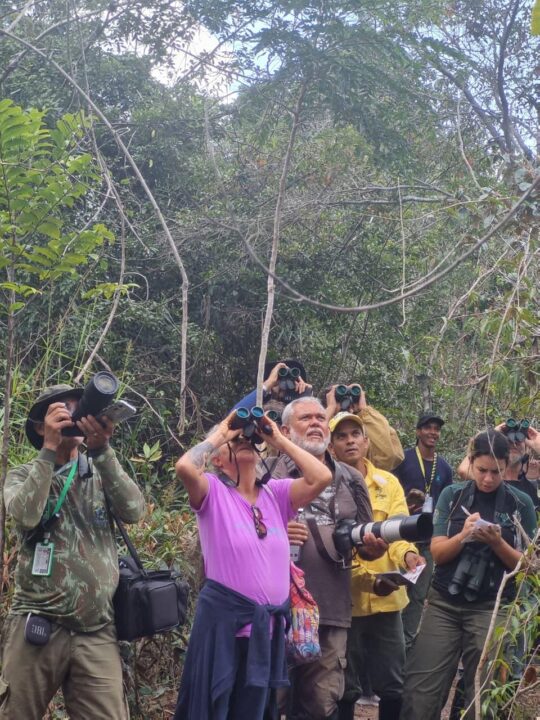 Passarinhada no Monte Pascoal promove imersão na Mata Atlântica e cultura Pataxó no sul da Bahia