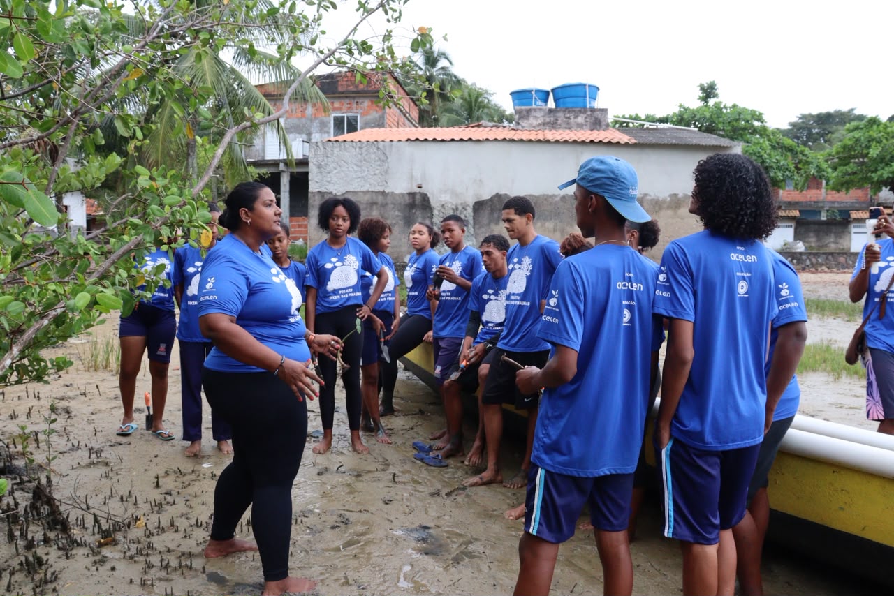 Projeto vai plantar mil mudas de mangue em três ilhas da Baía de Todos-os-Santos