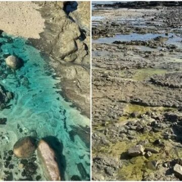 Salvador decreta situação de emergência em São Tomé de Paripe após derramamento de produtos na praia