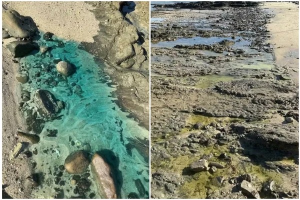Salvador decreta situação de emergência em São Tomé de Paripe após derramamento de produtos na praia