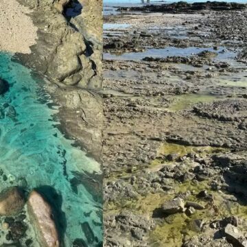 Inema aplica R$ 70 milhões em multas a empresas por contaminação de praia em Salvador