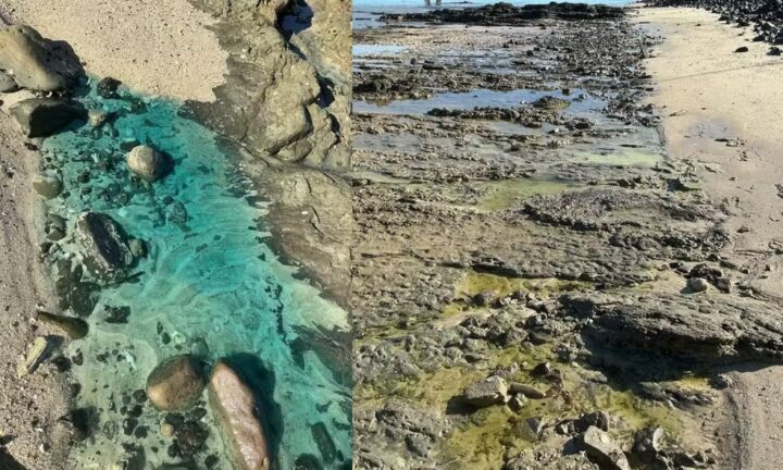 Inema aplica R$ 70 milhões em multas a empresas por contaminação de praia em Salvador