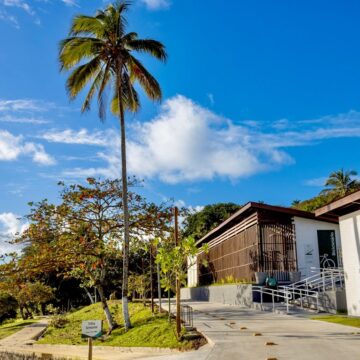 Governo da Bahia entrega primeira etapa da requalificação do Parque de Pituaçu; veja como ficou