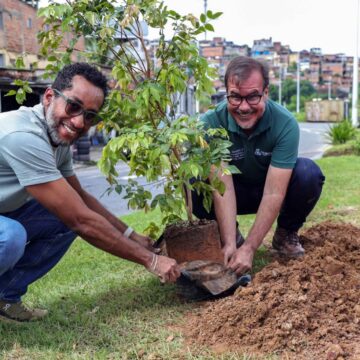 Salvador ganha primeira microfloresta urbana com mais de mil mudas de árvores nativas
