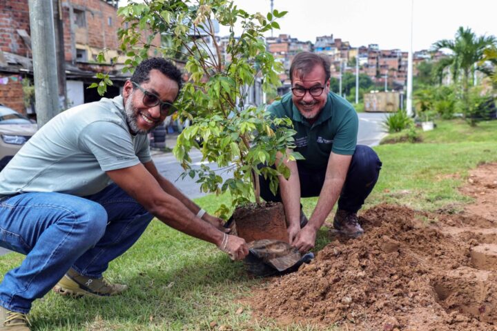 Salvador ganha primeira microfloresta urbana com mais de mil mudas de árvores nativas