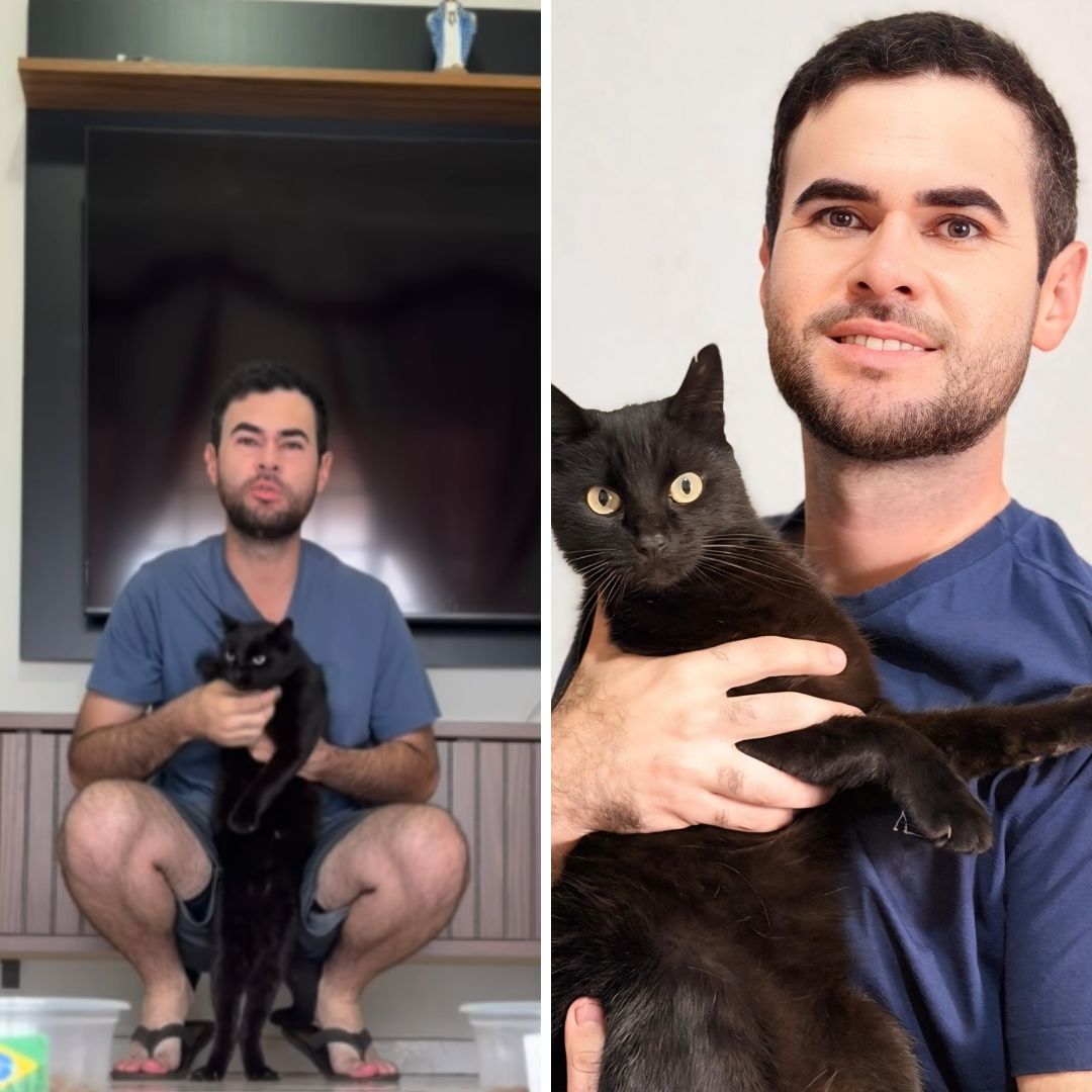 Após sequência de acertos, gato ‘vidente’ faz previsão sobre jogo do Brasil contra o Japão