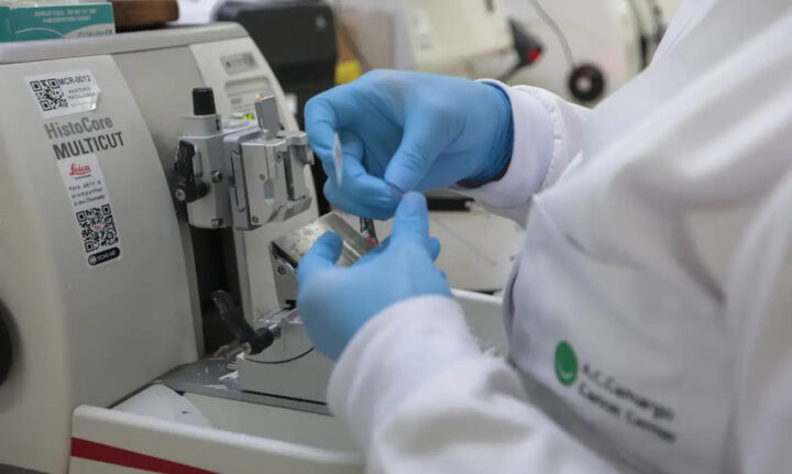 Ministério da Saúde inclui nova terapia para leucemia mieloide aguda no SUS